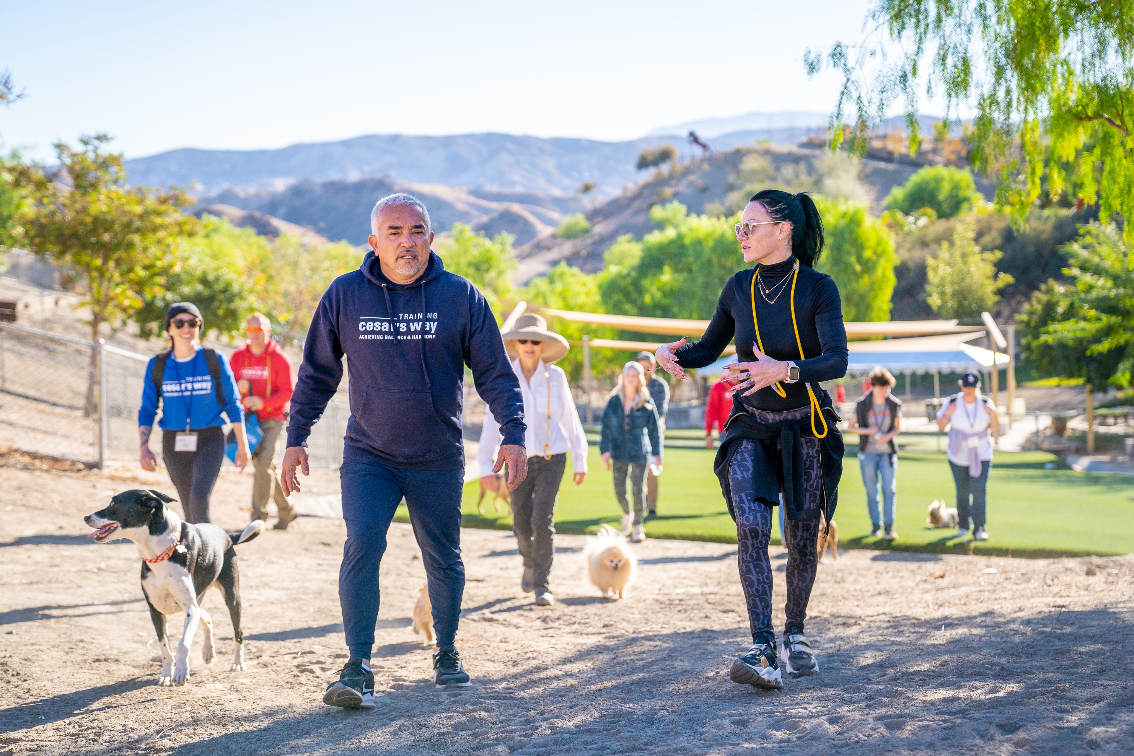Pack Walk Training