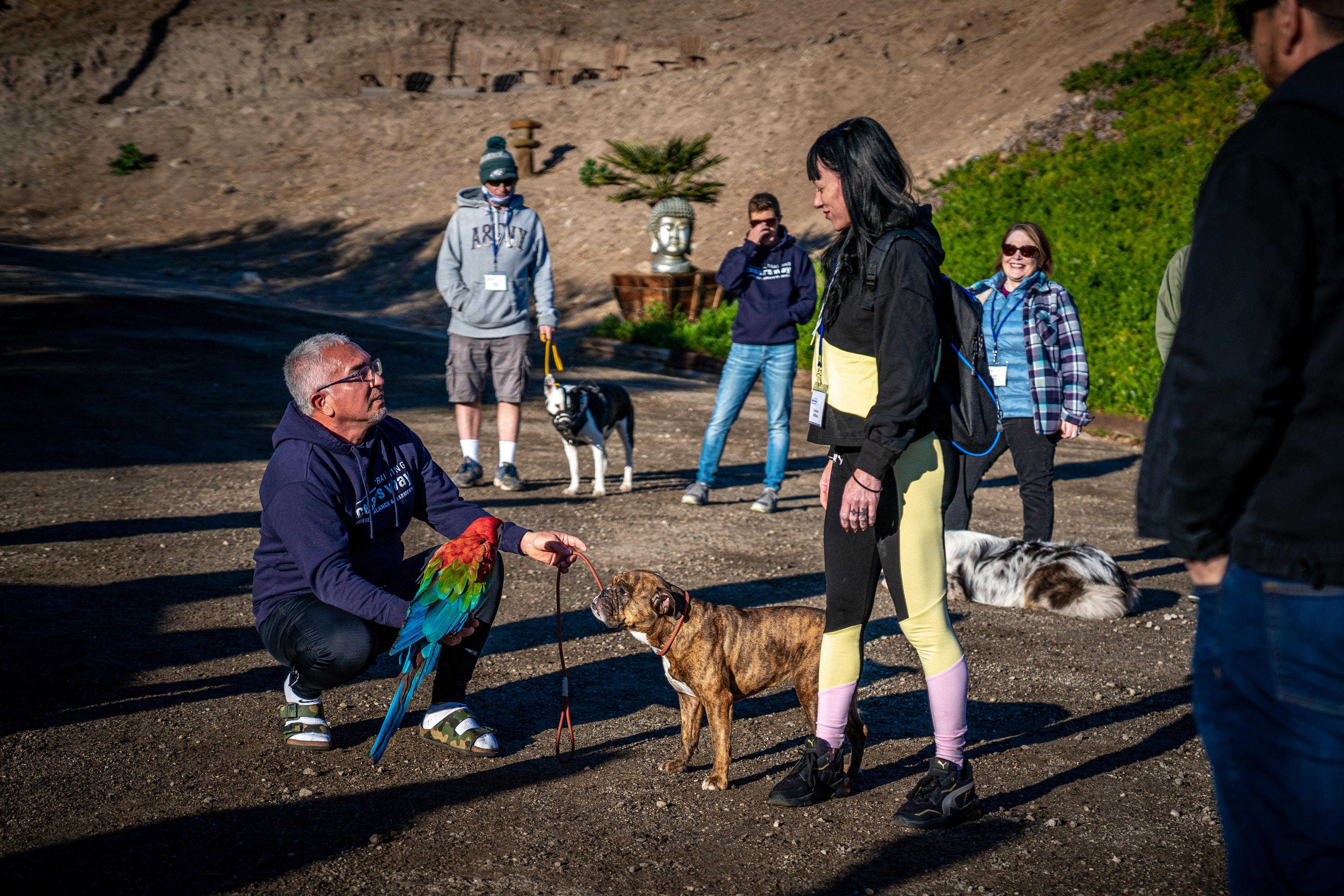 Animal Socialization